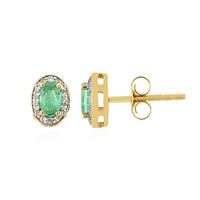 Boucles d'oreilles en or et Emeraude de Colombie