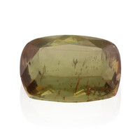  Andalousite (gemme et boîte de collection)
