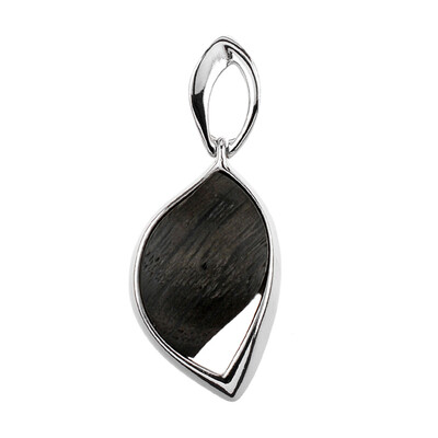Pendentif en argent et Chêne des marais (dagen)