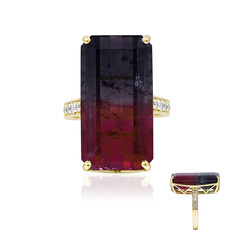 Bague en or et Tourmaline multicolore (AMAYANI)