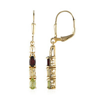 Boucles d'oreilles en argent et Grenat