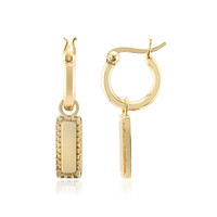 Boucles d'oreilles en argent