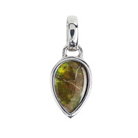 Pendentif en argent et Ammolite