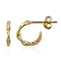 Boucles d'oreilles en argent