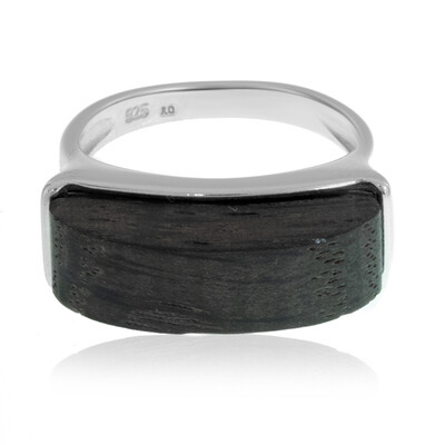 Bague en argent et Chêne de tourbière (Dagen)