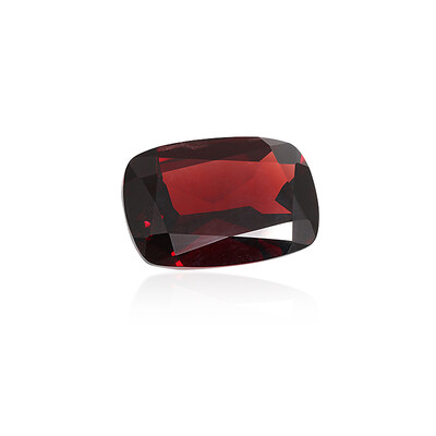 Gemme et Grenat du Mozambique 25,413 ct