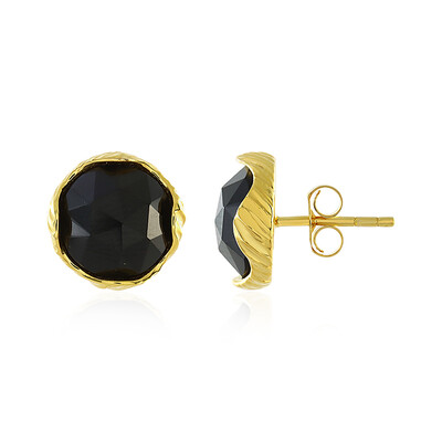 Boucles d'oreilles en argent et Onyx noir