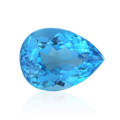 Gemme et Topaze de Marambaia 8,863 ct