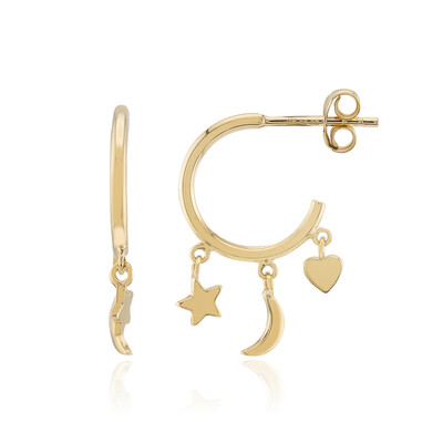 Boucles d'oreilles en argent