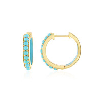 Boucles d'oreilles en argent et Turquoise Sleeping Beauty