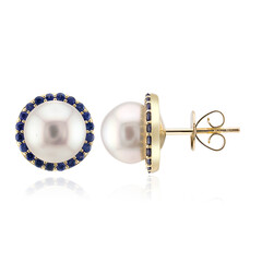 Boucles d'oreilles en or et Perle blanche des mers du sud (Michelle Albala)