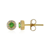 Boucles d'oreilles en argent et Grenat Tsavorite