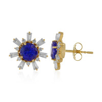 Boucles d'oreilles en or et Tanzanite (Adela Gold)