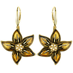 Boucles d'oreilles en argent et Ambre baltique