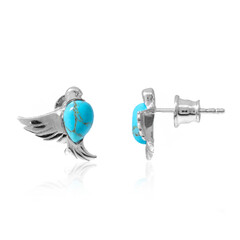 Boucles d'oreilles en argent et Turquoise