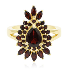 Bague en argent et Grenat