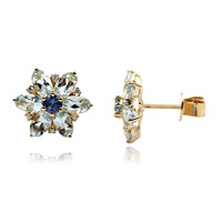 Boucles d'oreilles en or et Aigue-marine