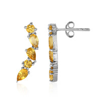 Boucles d'oreilles en argent et Citrine