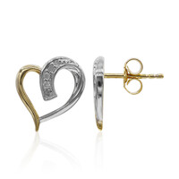 Boucles d'oreilles en argent et Diamant PK (I)