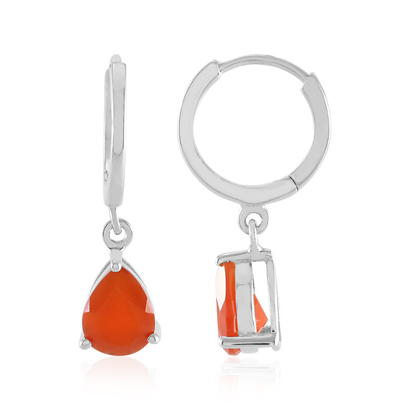 Boucles D'oreilles Argent 925 Et Cornaline – Modèle BO-AR-123 (Délicatement Doux)
