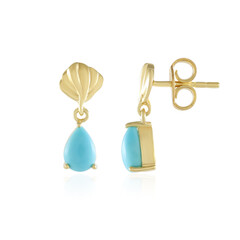 Boucles d'oreilles en argent et Turquoise Sleeping Beauty (Faszination Türkis)