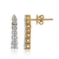 Boucles d'oreilles en or et Diamant IF (D)