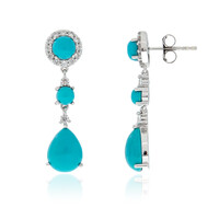 Boucles d'oreilles en argent et Turquoise Sleeping Beauty