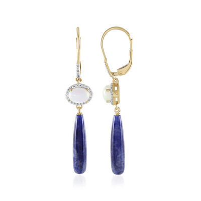 Boucles d'oreilles en argent et Sodalite