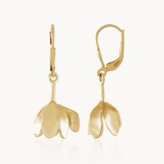 Boucles d'oreilles en argent