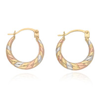 Boucles d'oreilles en or