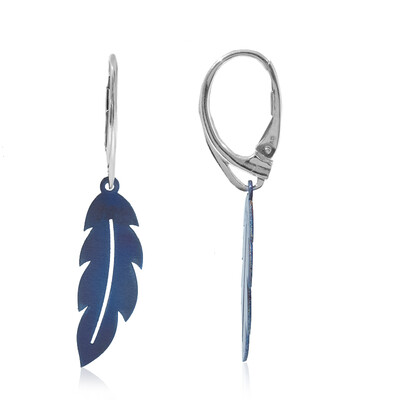 Boucles d'oreilles en argent (dagen)