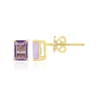 Boucles d'oreilles en or et Améthyste