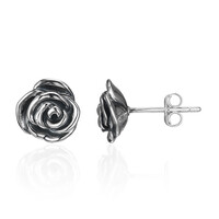 Boucles d'oreilles en argent
