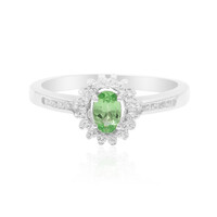 Bague en argent et Grenat Tsavorite