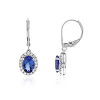 Boucles d'oreilles en or et Tanzanite AAA (CIRARI)