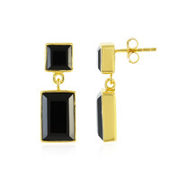 Boucles d'oreilles en argent et Onyx noir