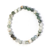 Bracelet et Jaspe arborescent
