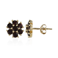 Boucles d'oreilles en argent et Grenat