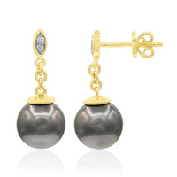 Boucles d'oreilles en or et Perle de culture de Tahiti (TPC)