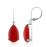 Boucles d'oreilles en argent et Agate rouge