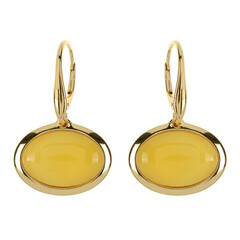 Boucles d'oreilles en argent et Ambre baltique