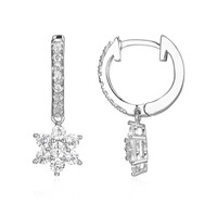 Boucles d'oreilles en argent et Zircon