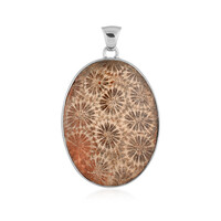 Pendentif en argent et Corail fossilisé (Bali Barong)