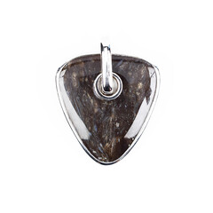 Pendentif en argent et Bois fossilisé