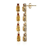 Boucles d'oreilles en argent et Citrine