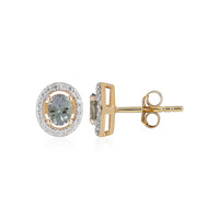 Boucles d'oreilles en or et Tanzanite verte