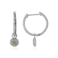 Boucles d'oreilles en argent et Démantoïde de Russie