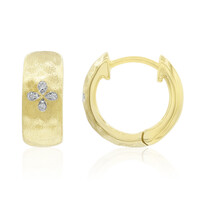 Boucles d'oreilles en argent et Diamant I1 (G)