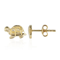 Boucles d'oreilles en argent