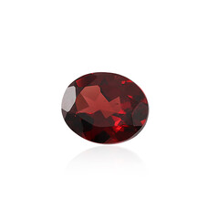  Grenat du Mozambique 3,373 ct (gemme et boîte de collection)